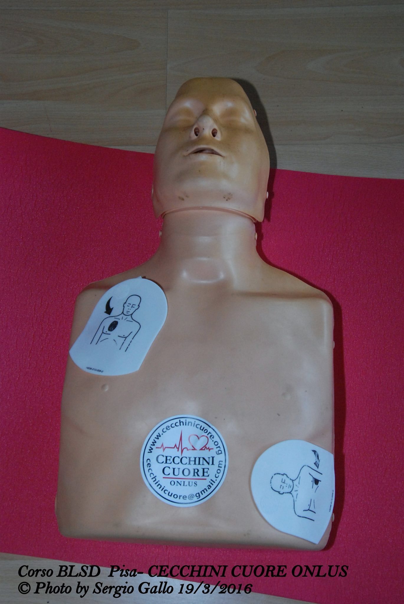 12473705_10207051618383589_5651027964737801139_o